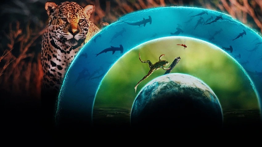 Download Our Living World | 2024 | Season 1 | {Hindi-English-} | Web Series | 480p 720p 1080p | MoviesWood